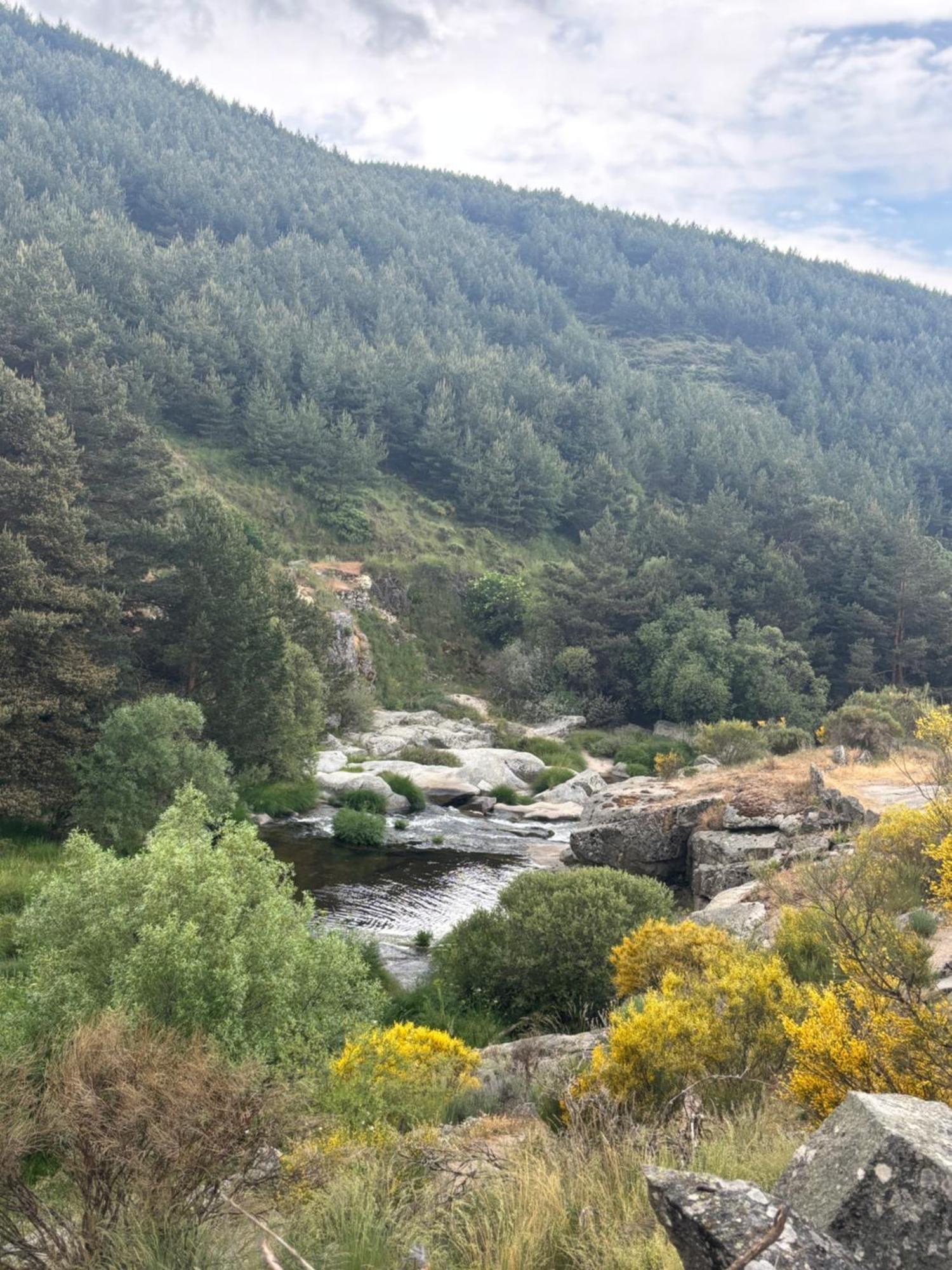 Villa De Gredos Navarredonda de Gredos Buitenkant foto